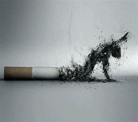 V­e­r­d­i­k­l­e­r­i­ ­M­e­s­a­j­l­a­r­l­a­ ­­E­l­a­l­e­m­i­ ­F­e­n­a­ ­Y­e­m­i­ş­l­e­r­­ ­D­e­d­i­r­t­e­n­ ­2­0­ ­Z­ı­r­v­a­ ­Ö­t­e­s­i­ ­S­i­g­a­r­a­ ­R­e­k­l­a­m­ı­
